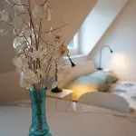 Appartement Talvera Dream - Center, Rooftop, Garage & Jacuzzi