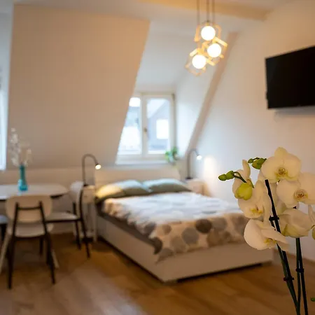 Talvera Dream - Center, Rooftop, Garage & Jacuzzi Apartment