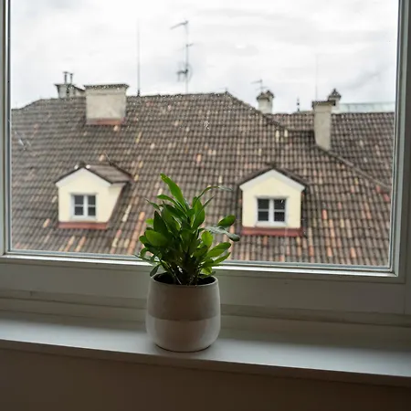 Talvera Dream - Center, Rooftop, Garage & Jacuzzi * Bozen